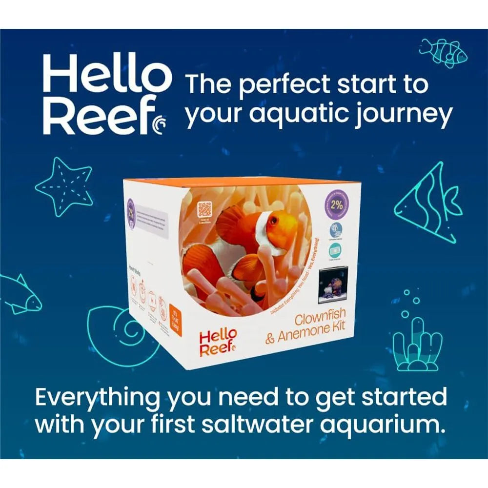 Clownfish & Anemone Aquarium Kit