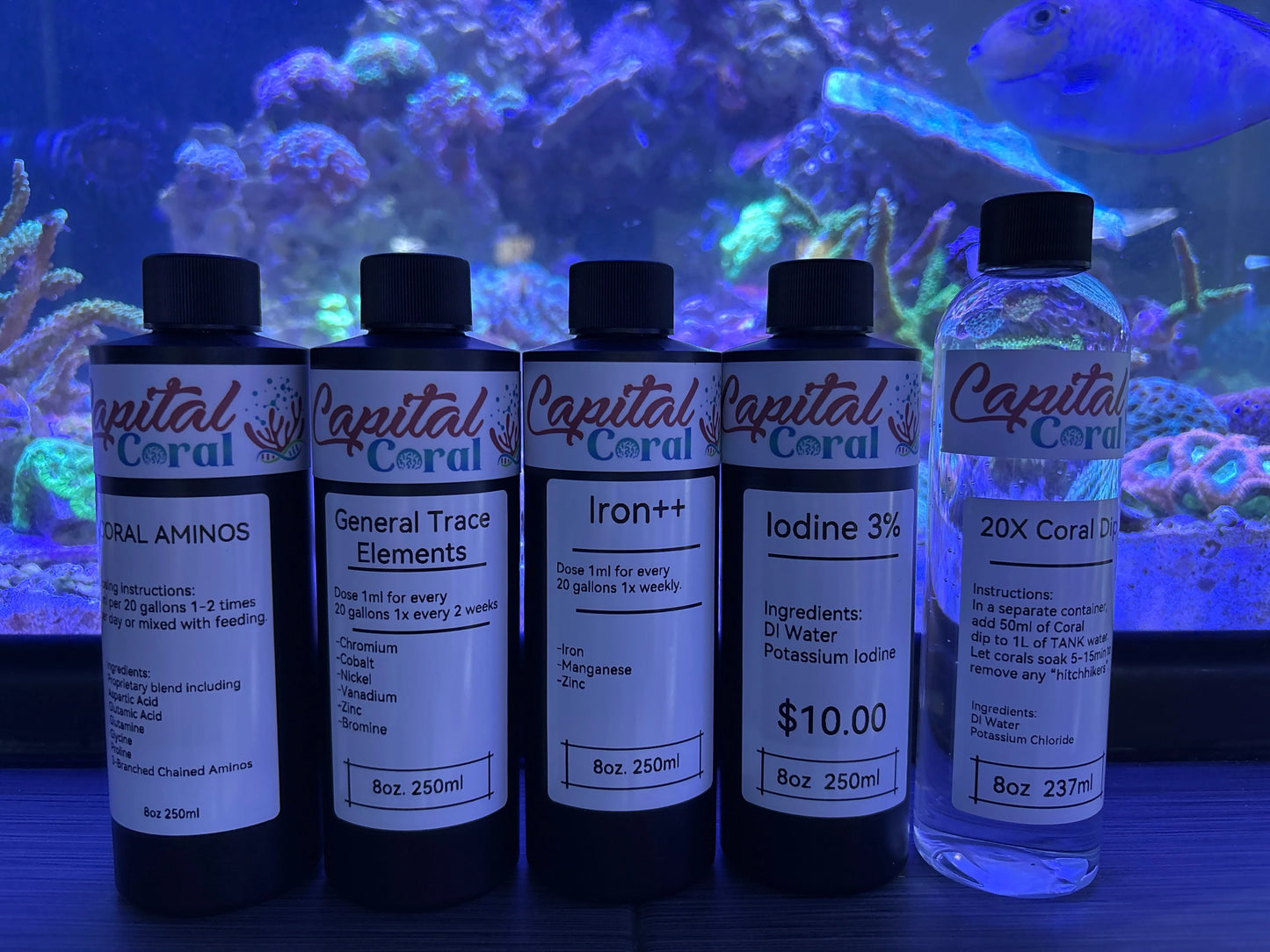 Coral Care By CapitalCorals