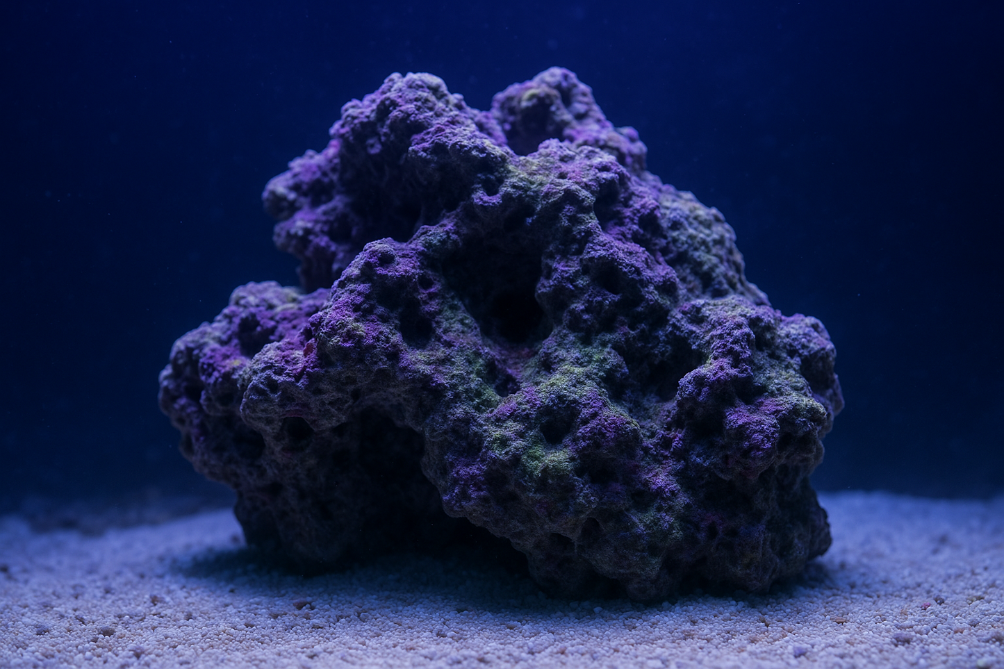 Live Rock Loaded With Beneficial Bacteria, Copepods, and Anthropods. (Priced Per Pound)