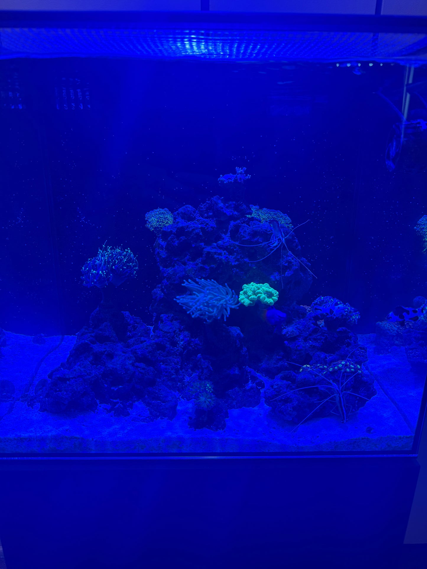 Waterbox 20 cube AIO