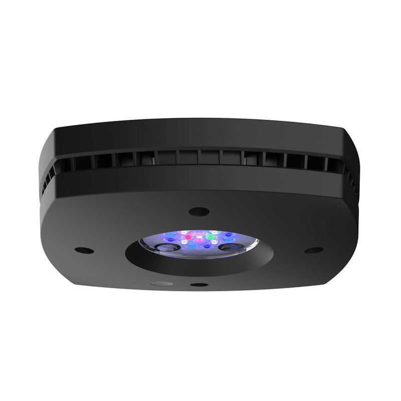 AI PRIME 16HD