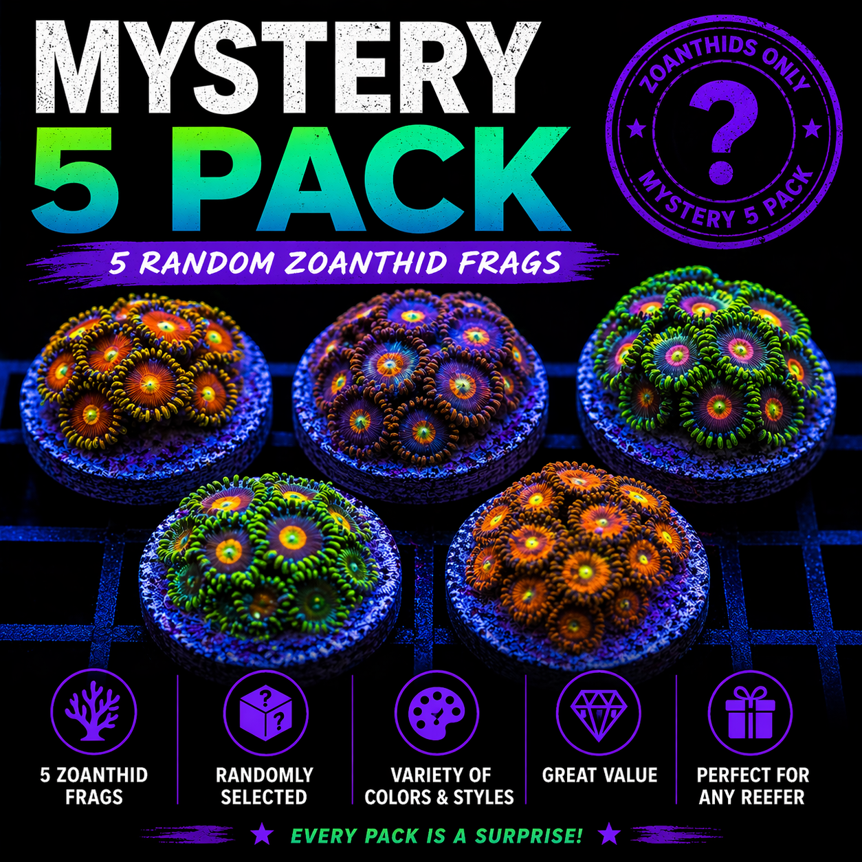 MYSTERY ZOA 5 PACK