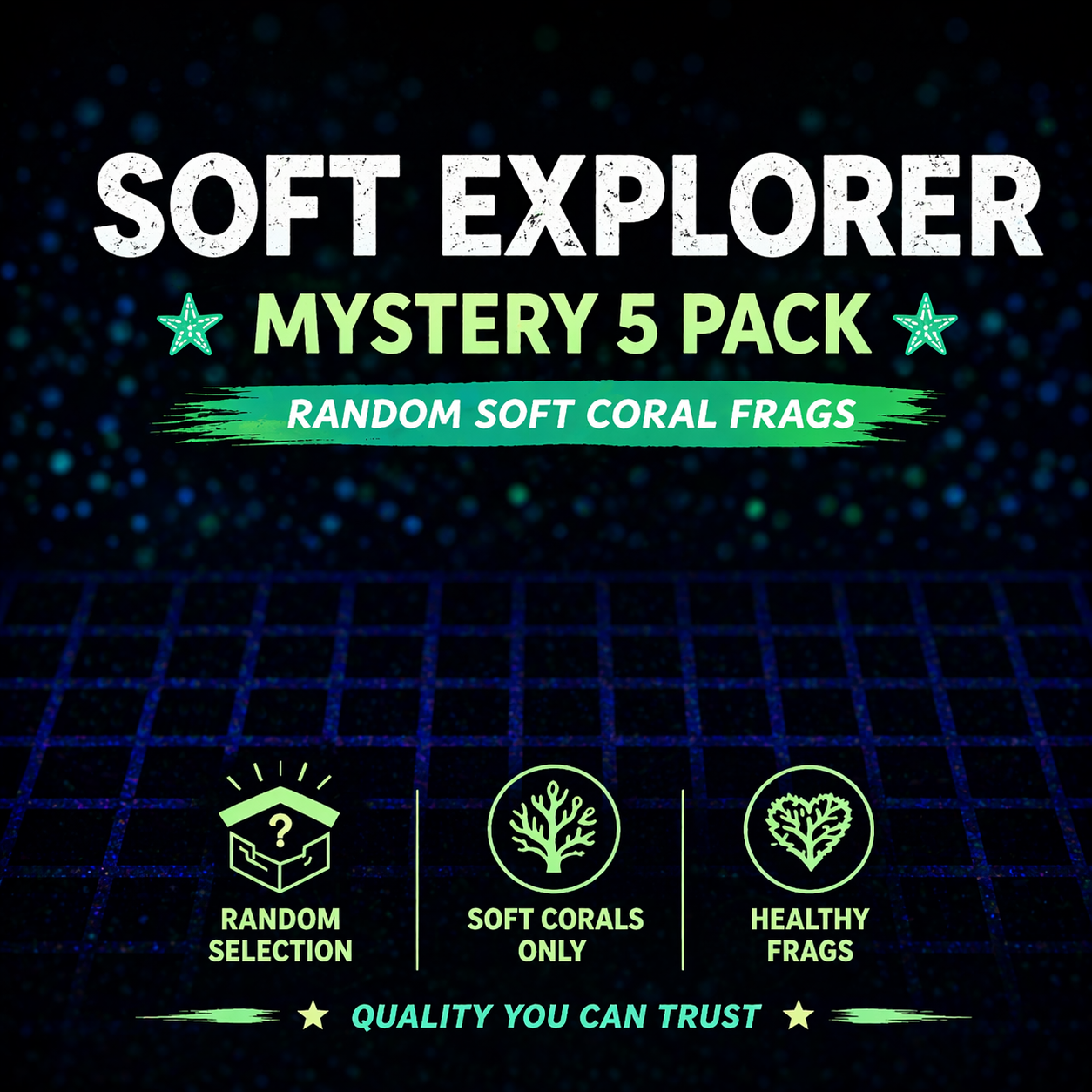 MYSTERY SOFT 5 PACK