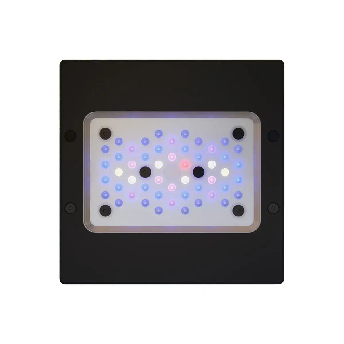 Radio XR15 G6 Blue LED light Fixture