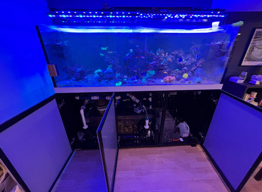 First Due Aquatic Rescue Building Your Foundation.