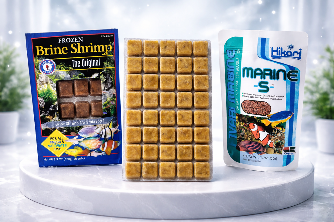 Frozen Foods vs. Pellets: What’s Really Best for Your Reef Fish?