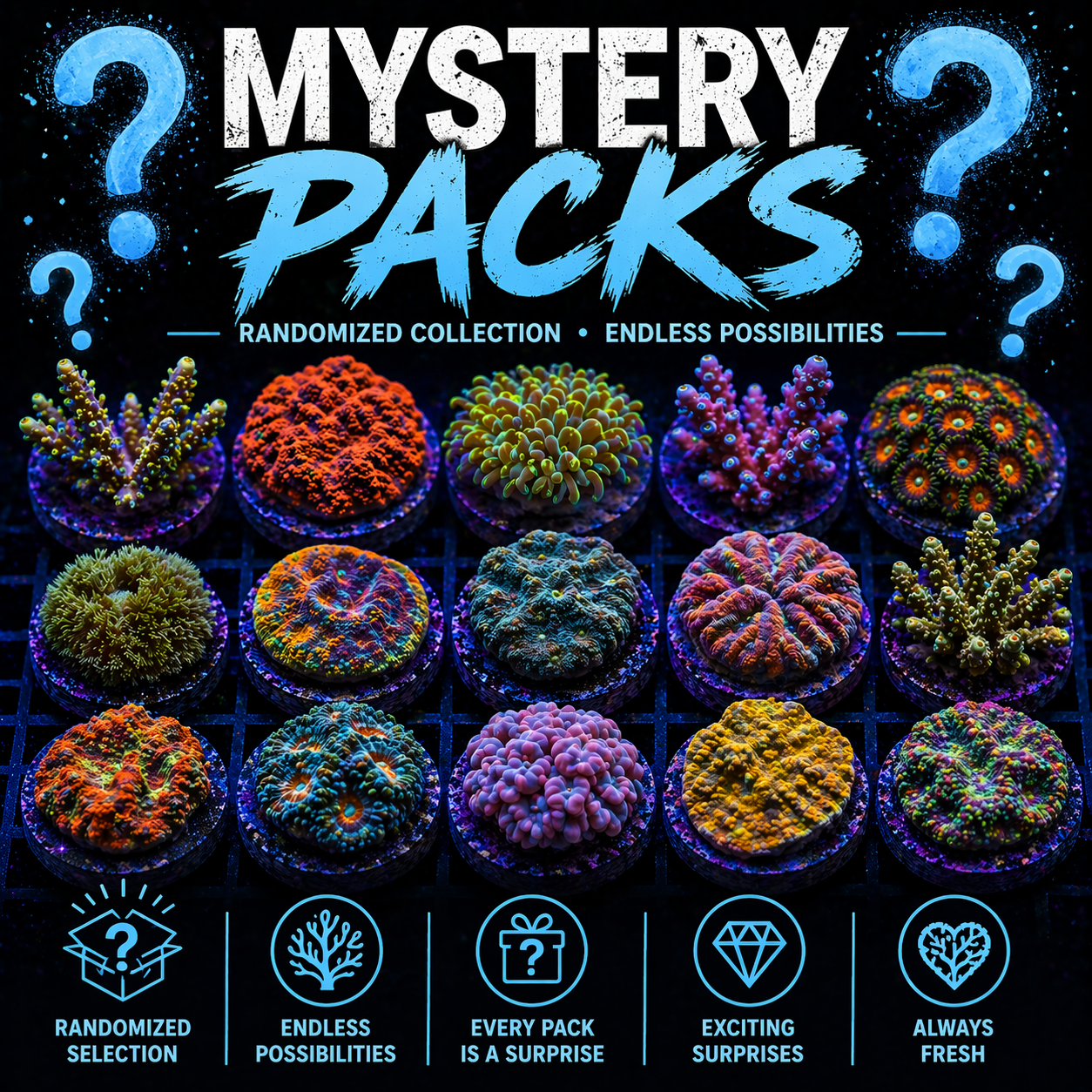 Mystery Packs