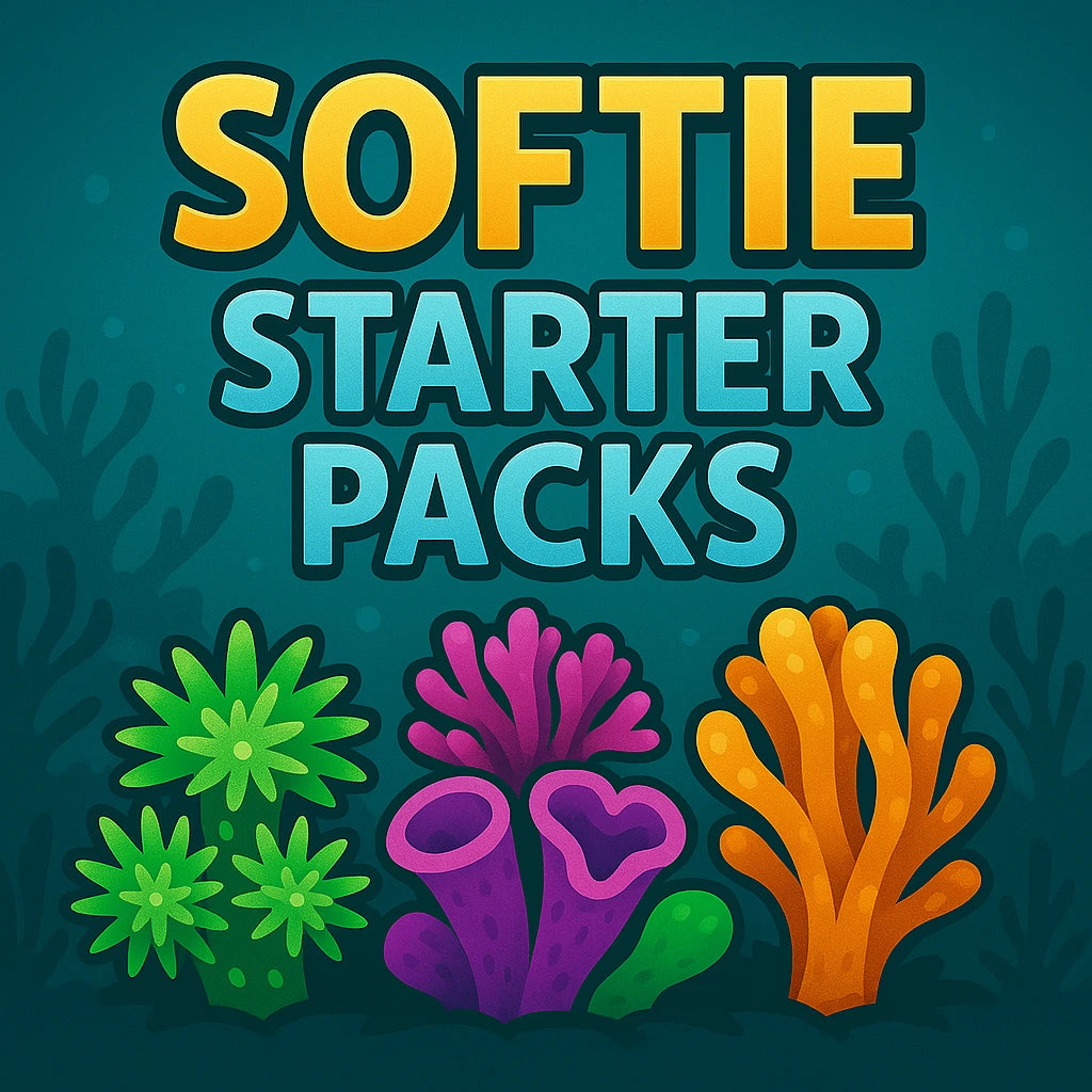FDAR SOFTIE STARTER PACKS