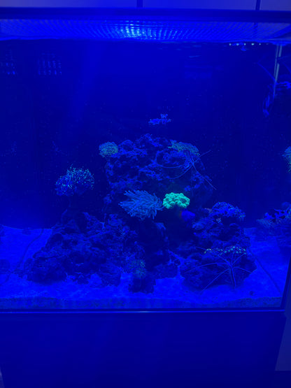 Waterbox 20 cube AIO