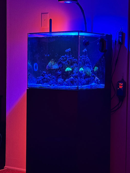 Waterbox 20 cube AIO