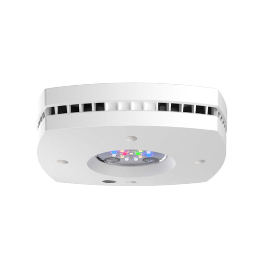 AI PRIME 16HD