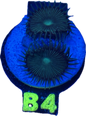 palythoa toxic green
