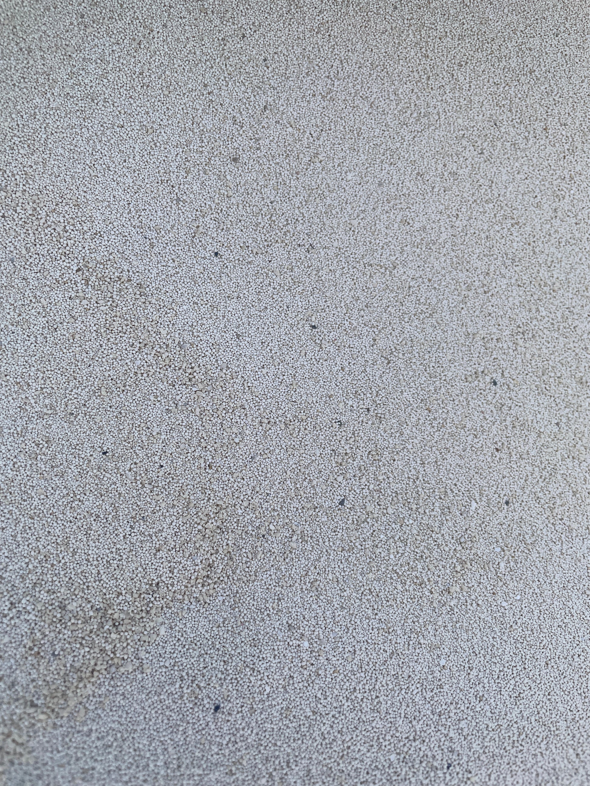 Dry Oolitic Aragonite Sand (per lb) WorldofReefs.com