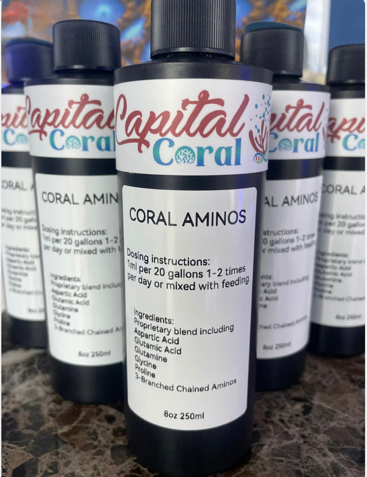 Coral Amino Acids