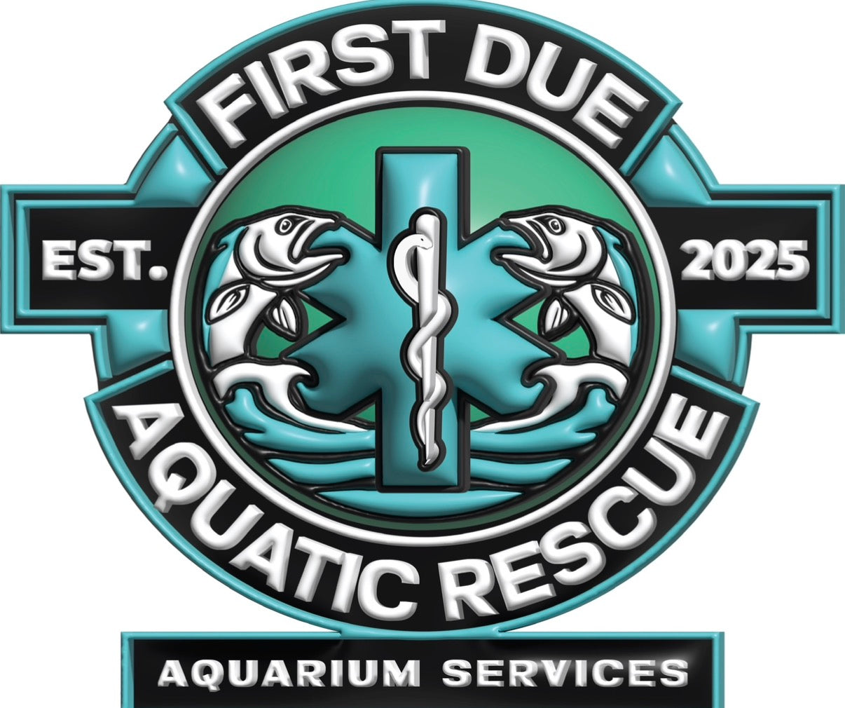 Freshwater Aquarium Install