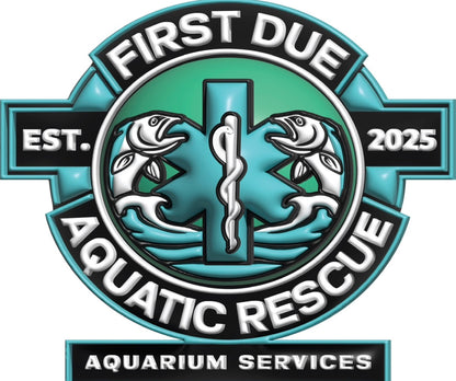 Freshwater Aquarium Install
