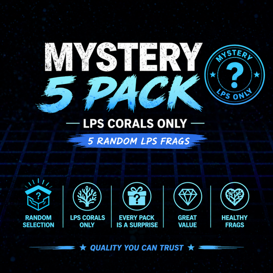 MYSTERY LPS 5 PACK