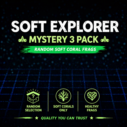 MYSTERY SOFT 3 PACK