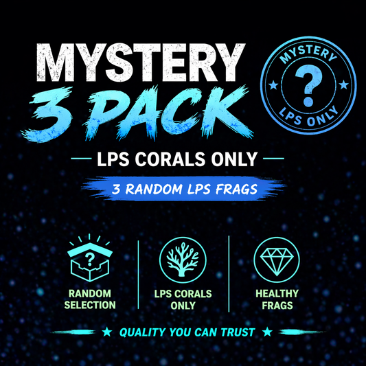 MYSTERY LPS 3 PACK