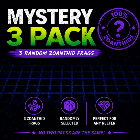 MYSTERY ZOA 3 PACK