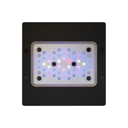Radio XR15 G6 Blue LED light Fixture