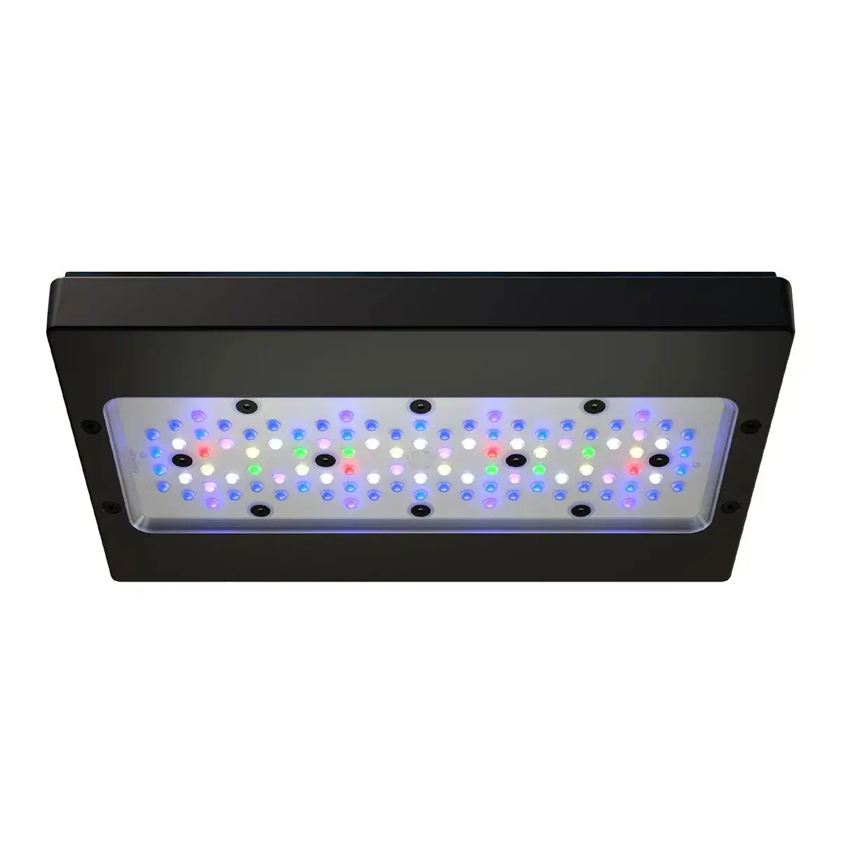 Radion XR30 G6 Blue LED Light Fixture